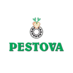 Untitled design (16)